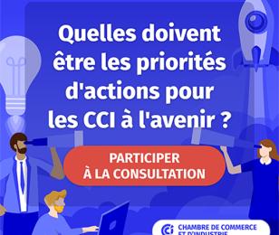 consultation CCI avenir