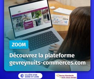 plateforme gevreynuits-commerces.com