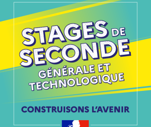 Stage de seconde